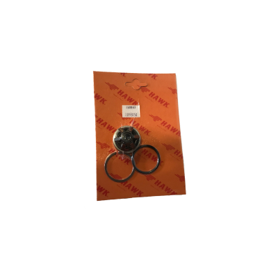 OBS KIT VALVULA BOMBA SERIE HFR (1.099-815.0)