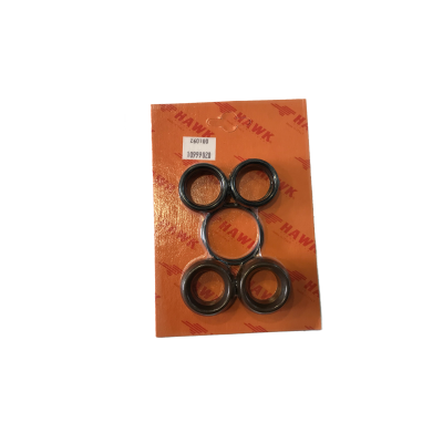 OBS KIT RETENES D.22 BOMBA SERIE LT-XLT (1.099-902 OBS KIT RETENES D.22 BOMBA SERIE LT-XLT (1.099-902